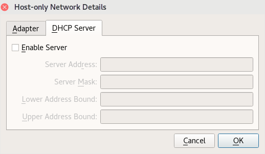 host only dhcp
